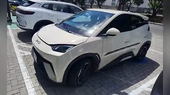 Foto de um byd dolphin mini