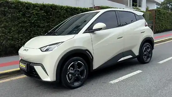 Foto de um byd dolphin mini