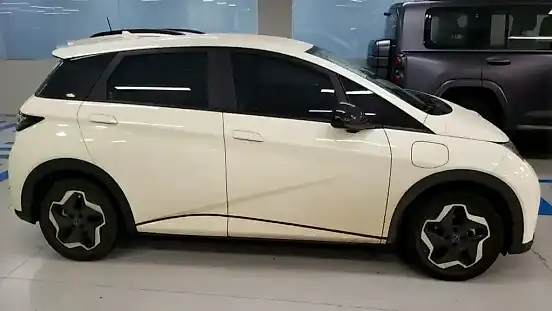 Foto de um byd dolphin