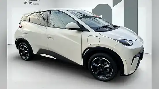 Foto de um byd dolphin mini