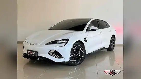 Foto de um byd seal