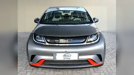 Foto de um byd dolphin