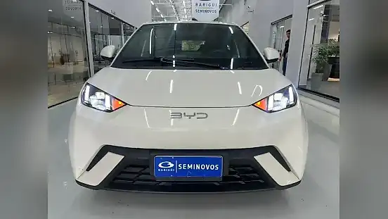 Foto de um byd dolphin mini