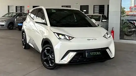 Foto de um byd dolphin mini