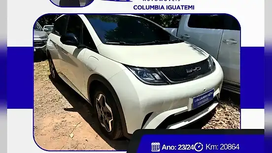 Foto de um byd dolphin