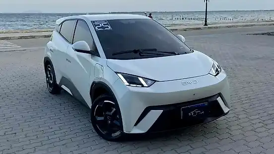 Foto de um byd dolphin mini
