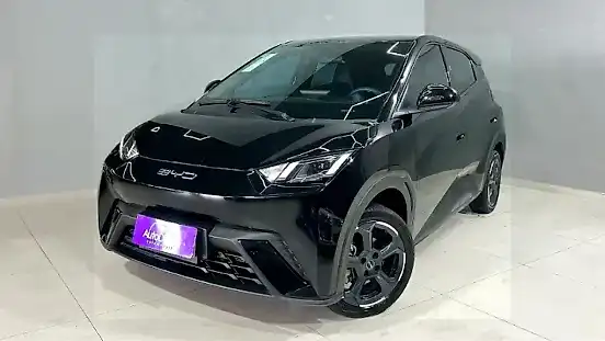 Foto de um byd dolphin mini