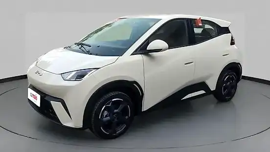 Foto de um byd dolphin mini