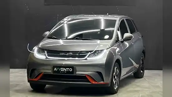 Foto de um byd dolphin