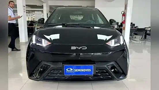 Foto de um byd dolphin mini