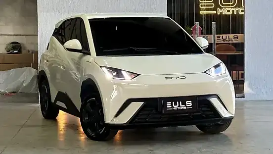 Foto de um byd dolphin mini