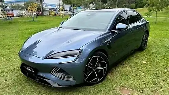 Foto de um byd seal