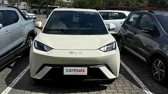 Foto de um byd dolphin mini