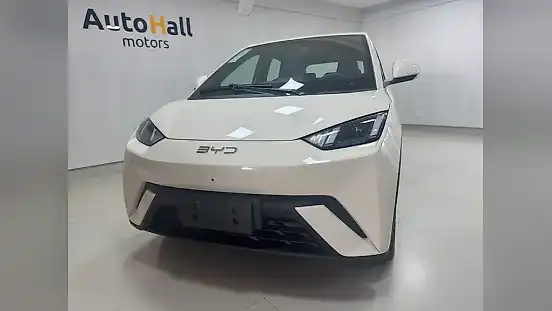 Foto de um byd dolphin mini