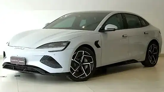 Foto de um byd seal