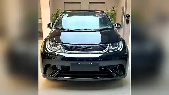 Foto de um byd dolphin