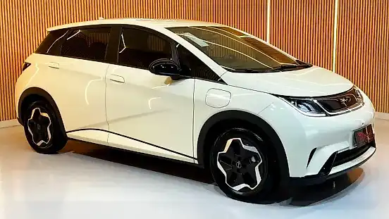Foto de um byd dolphin