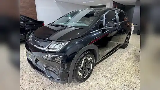 Foto de um byd dolphin
