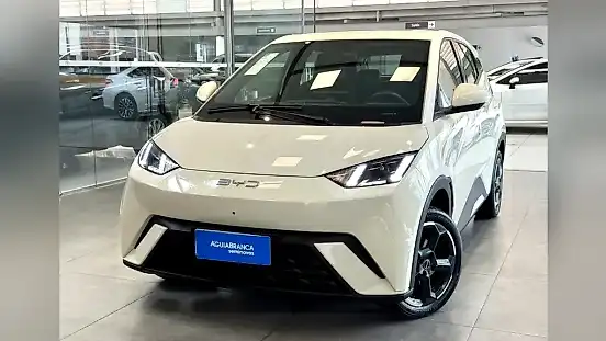 Foto de um byd dolphin mini