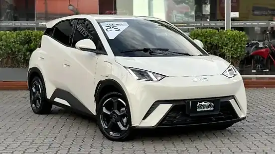 Foto de um byd dolphin mini