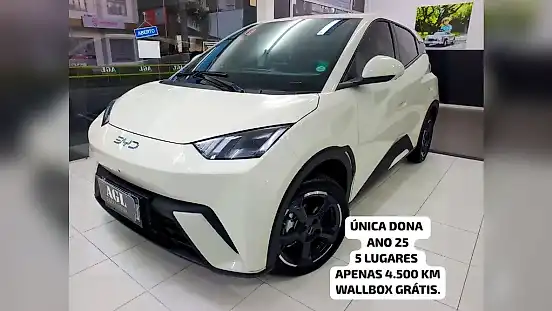 Foto de um byd dolphin mini