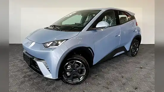 Foto de um byd dolphin mini