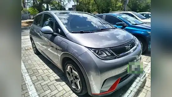 Foto de um byd dolphin