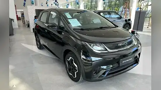 Foto de um byd dolphin