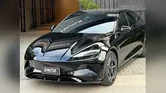 Foto de um byd seal