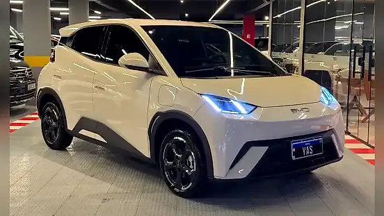 Foto de um byd dolphin