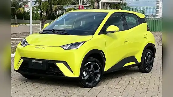 Foto de um byd dolphin