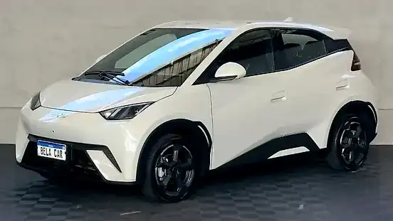 Foto de um byd dolphin mini