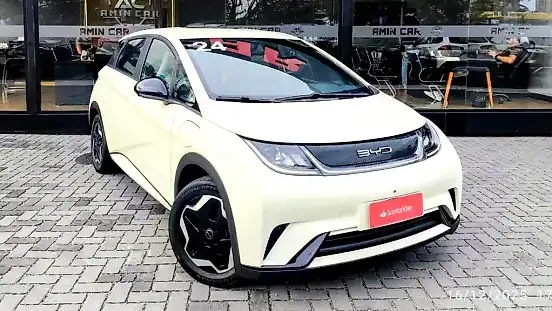 Foto de um byd dolphin