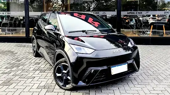 Foto de um byd dolphin