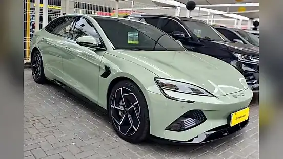 Foto de um byd seal