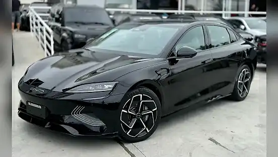 Foto de um byd seal