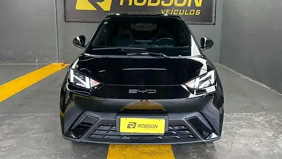 Foto de um byd dolphin