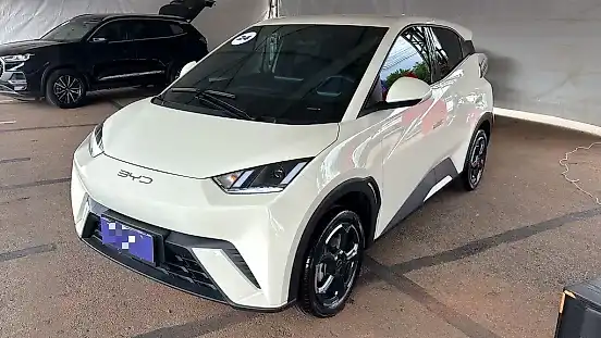 Foto de um byd dolphin mini
