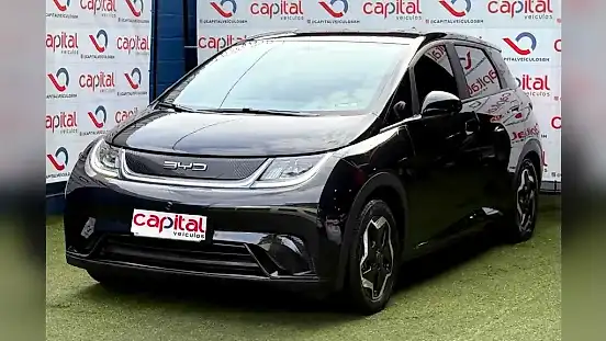 Foto de um byd dolphin