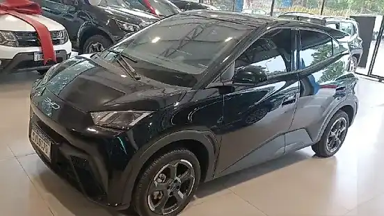 Foto de um byd dolphin mini