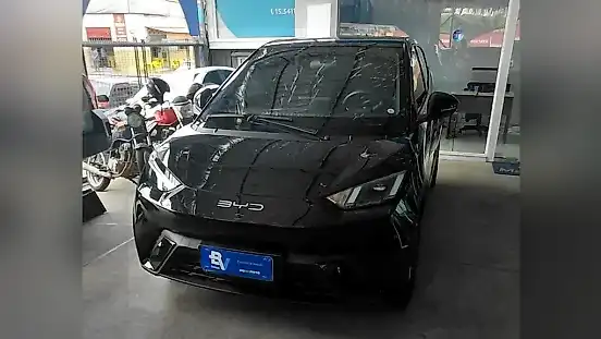 Foto de um byd dolphin mini