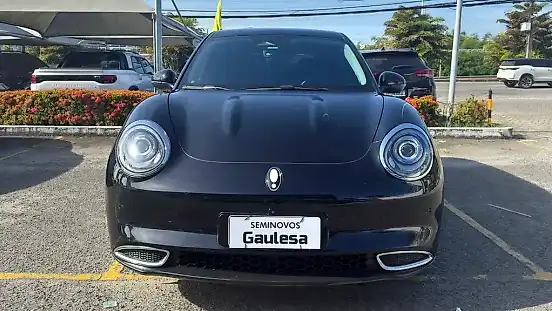 Foto de um gwm ora 03