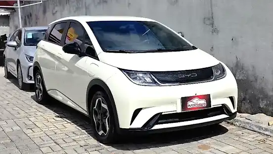 Foto de um byd dolphin