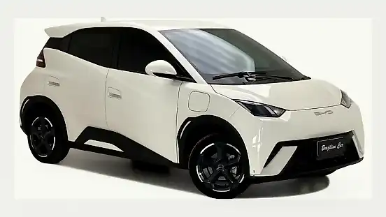 Foto de um byd dolphin mini