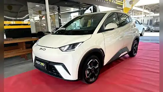 Foto de um byd dolphin