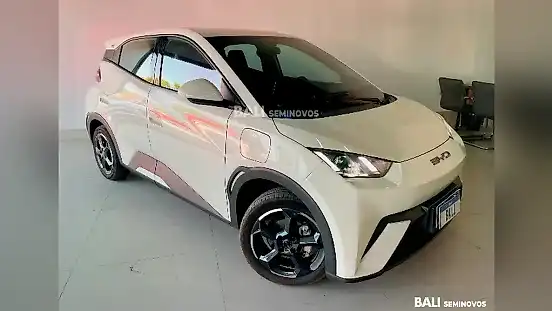 Foto de um byd dolphin mini