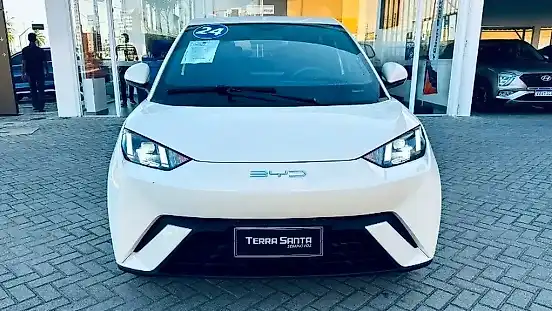 Foto de um byd dolphin mini