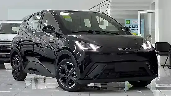 Foto de um byd dolphin mini
