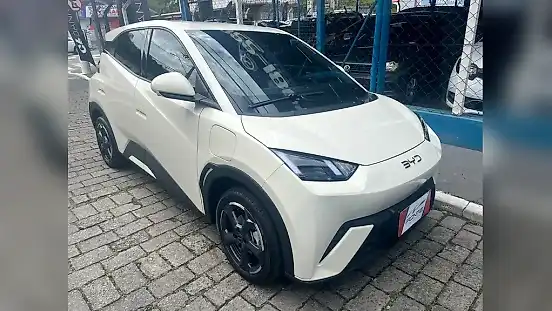 Foto de um byd dolphin mini