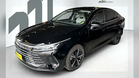 Foto de um byd king